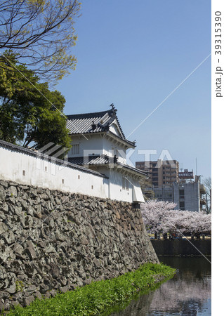 府内城址と桜 39315390