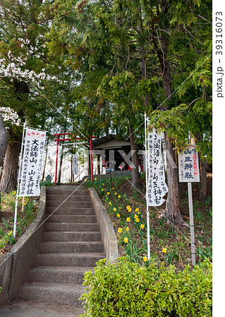 大法師山、山王神社、大法師公園 大法師山、山王神社、大法師公園 39316073