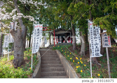 大法師山、山王神社、大法師公園 大法師山、山王神社、大法師公園 39316075