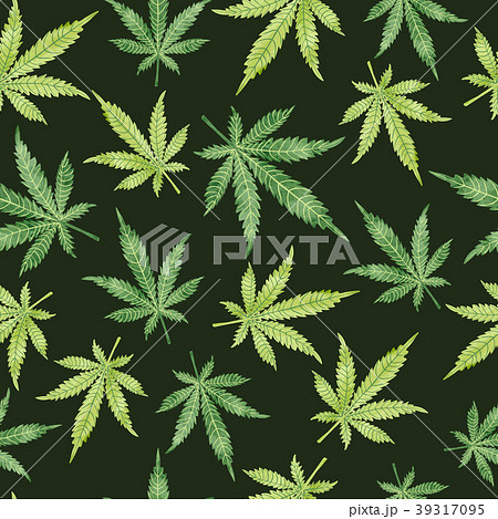Watercolor marijuana leaves on dark. 39317095
