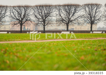 Bare trees and lawn in Saint Petersburg, Russia 39318335