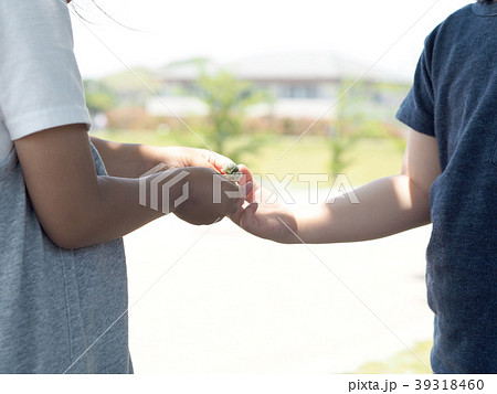 シロツメクサの指輪を渡す少女 39318460