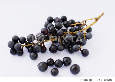 山ぶどう 山ぶどう 39318480