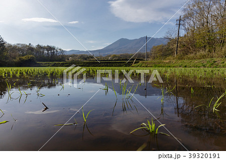栃木県　那須連山と田んぼ（5月） 39320191
