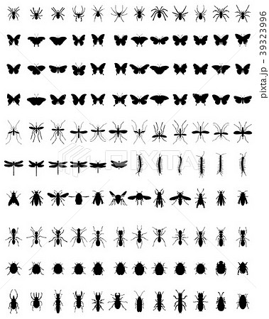 silhouettes of insects silhouettes of insects 39323996
