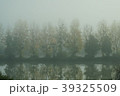 朝の並木道 39325509