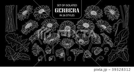 Set of isolated gerbera in 26 styles. 39328312