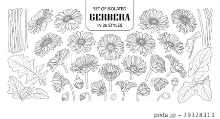 Set of isolated gerbera in 26 styles. Set of isolated gerbera in 26 styles. 39328313