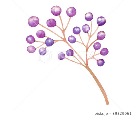 Isolated vector purple plant wedding decoration Isolated vector purple plant wedding decoration 39329061