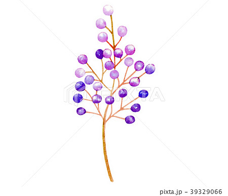 Isolated vector purple plant wedding decoration 39329066