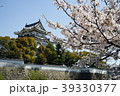 岸和田城と桜 39330377