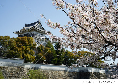 岸和田城と桜 39330377