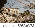 岸和田城と桜 39330378
