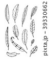 Set of feather on white background.vector illustra 39330662