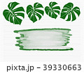Tropical Palm leaves isolated on white background. 39330663