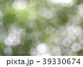 Beautiful nature green bokeh background 39330674