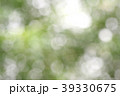 Beautiful nature green bokeh background 39330675