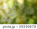 Beautiful nature green bokeh background. 39330678