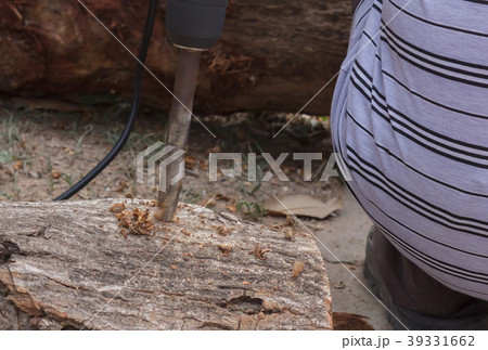 People use a drill hole to wood for mushroom 39331662
