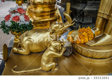 タイ バンコク:黄金寺院 (ワット・トライミット)の聖なる象とサル ヤワラー(中華街)にある観光名所 タイ バンコク:黄金寺院 (ワット・トライミット)の聖なる象とサル ヤワラー(中華街)にある観光名所 39331691