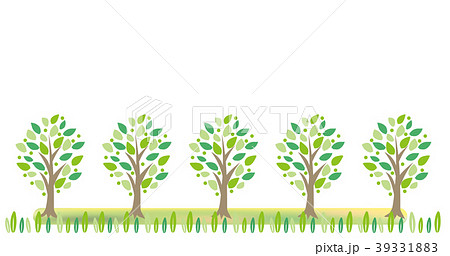 新緑の樹木 並木フレームのイラスト素材 39331883 Pixta