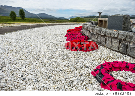 Remembrance day poppies laying close to the Remembrance day poppies laying close to the 39332403