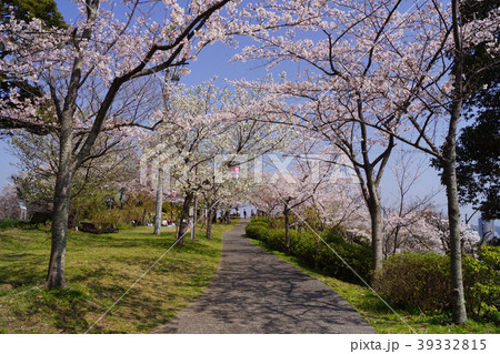 塚山公園 桜 39332815