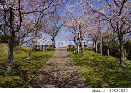 塚山公園 桜 塚山公園 桜 39332820
