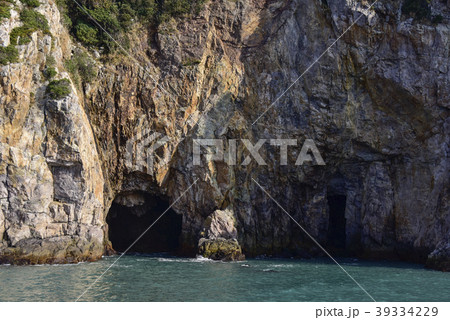 新安郡 自然 岩 39334229