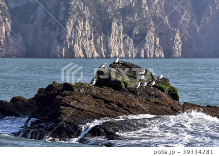 新安郡 自然 岩 39334281