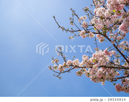 台湾 台北 台北市 39334914