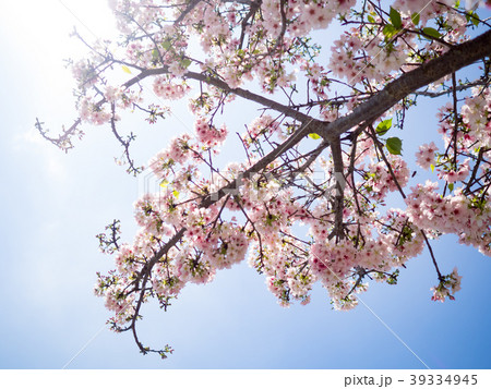 台湾 台北 台北市 39334945