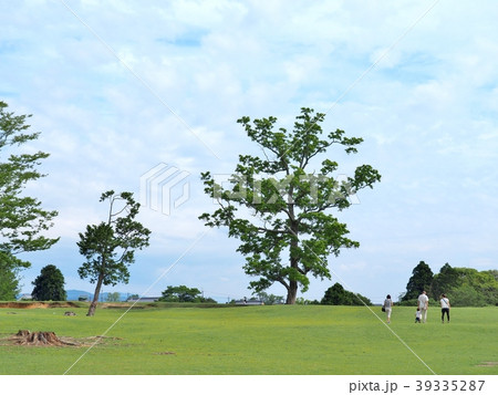 Green field with blue sky at Nara park, Japan. 39335287