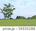 Green field with blue sky at Nara park, Japan. 39335288