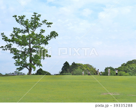 Green field with blue sky at Nara park, Japan. 39335288