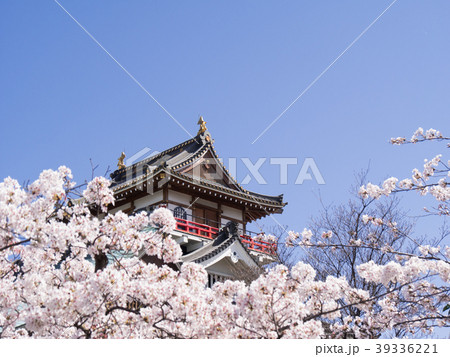 清洲城と桜 清洲城と桜 39336221