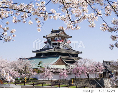 清洲城と桜　五条川対岸から 39336224