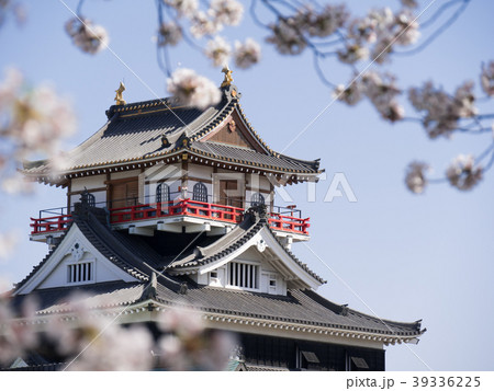 清洲城と桜　五条川対岸から 39336225