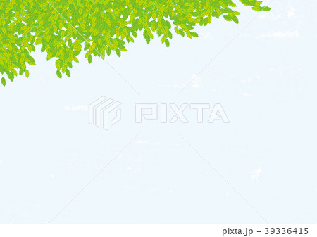 青葉 水彩画 青葉 水彩画 39336415