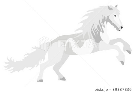 Illustration white Horse Illustration white Horse 39337836