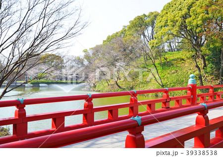 大阪　茶臼山周辺の風景 39338538