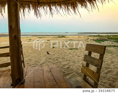 Close up of chairs set with umbrella and bird Close up of chairs set with umbrella and bird 39338675
