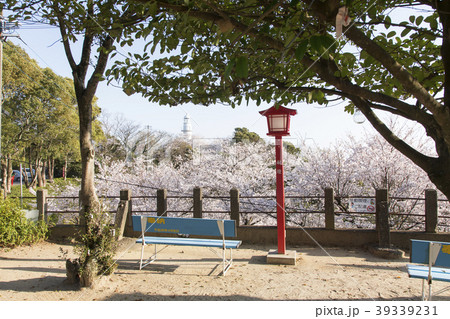 荒尾市 四ツ山神社の桜、 荒尾市 四ツ山神社の桜、 39339231
