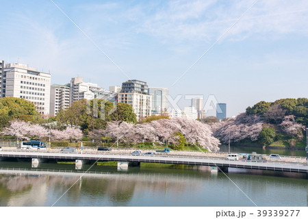 千鳥ヶ淵の桜。 千鳥ヶ淵の桜。 39339277