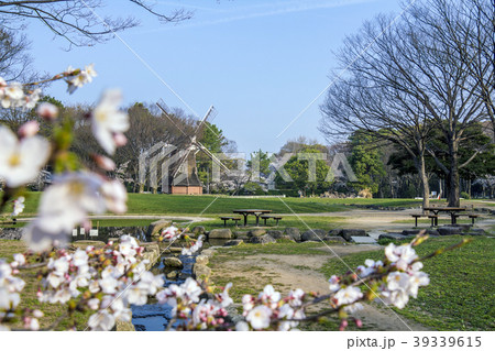 愛知県　名古屋名城公園　桜 39339615