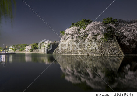 愛知県 名古屋城桜 夜景 愛知県 名古屋城桜 夜景 39339645