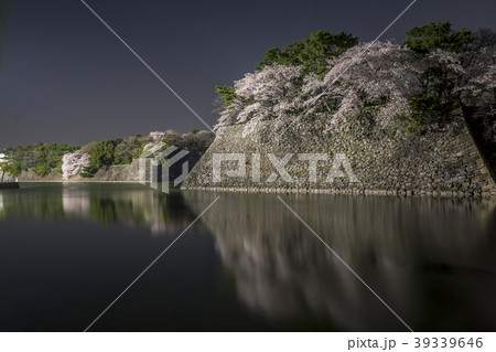 愛知県 名古屋城桜 夜景 愛知県 名古屋城桜 夜景 39339646