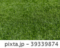人工芝 39339874