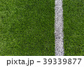 人工芝と直線ライン 39339877