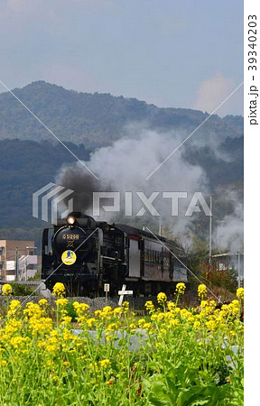 SLやまぐち号2017年春の運行 39340203